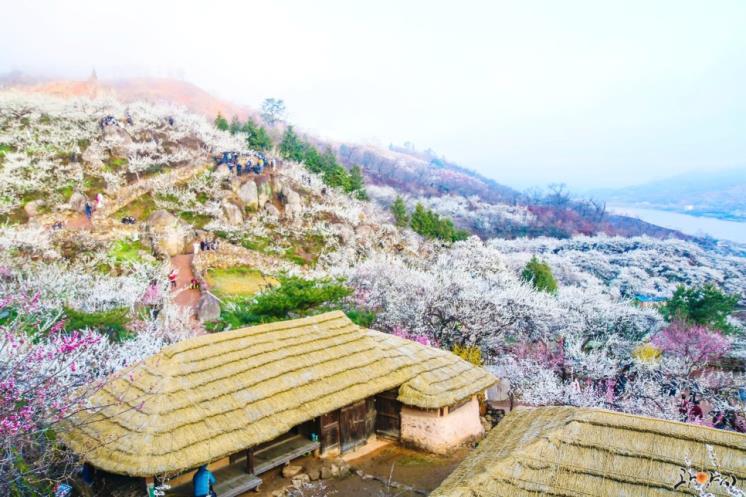 ⓒ광양시청 공식 블로그 