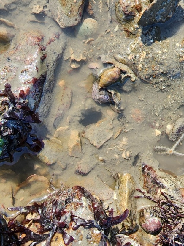 병술만 캠핑장(@병술만 캠핑장)