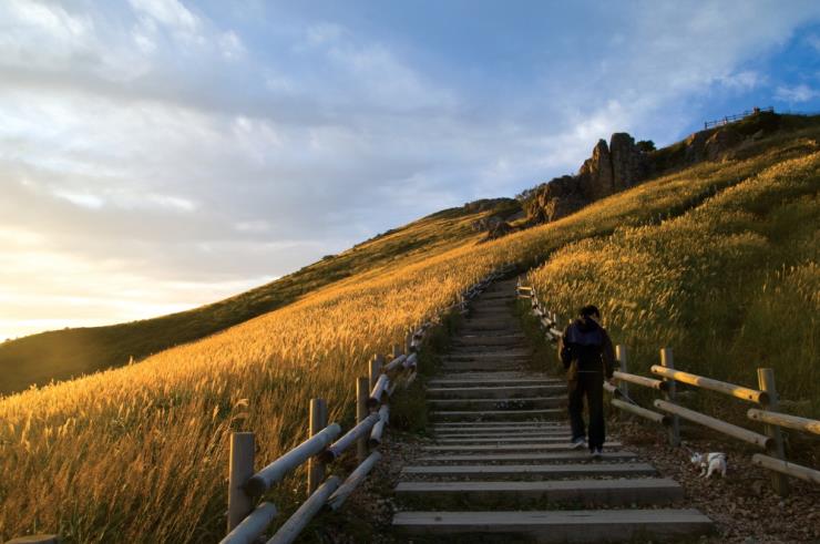 ⓒ울산관광 공식홈페이지