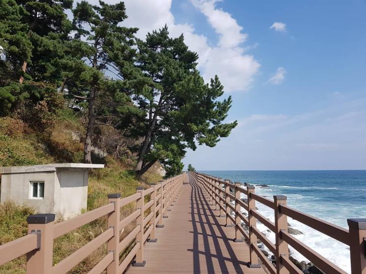 외옹치 해수욕장 @saehansil