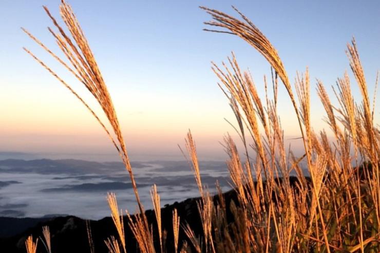 ⓒ홍성군 공식블로그