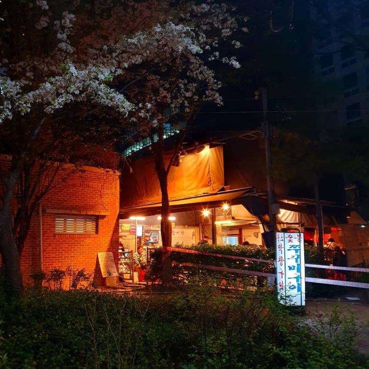 황소막창 @88__64