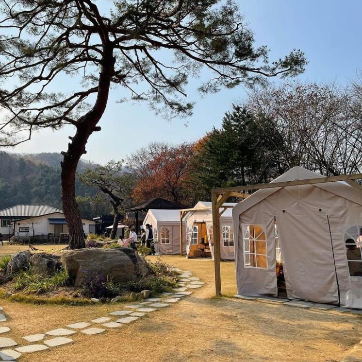 @orbitgarden0615