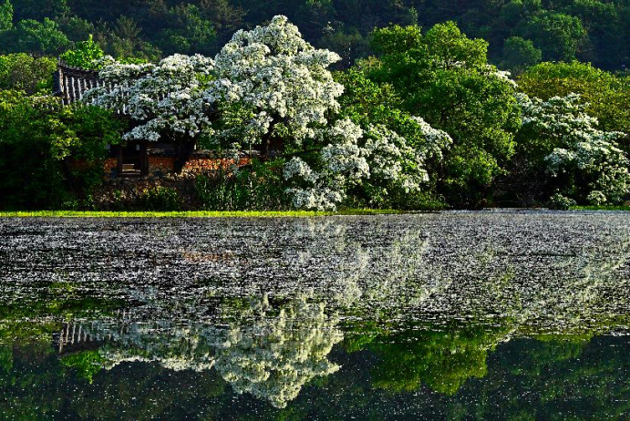 사진출처 한국관광공사