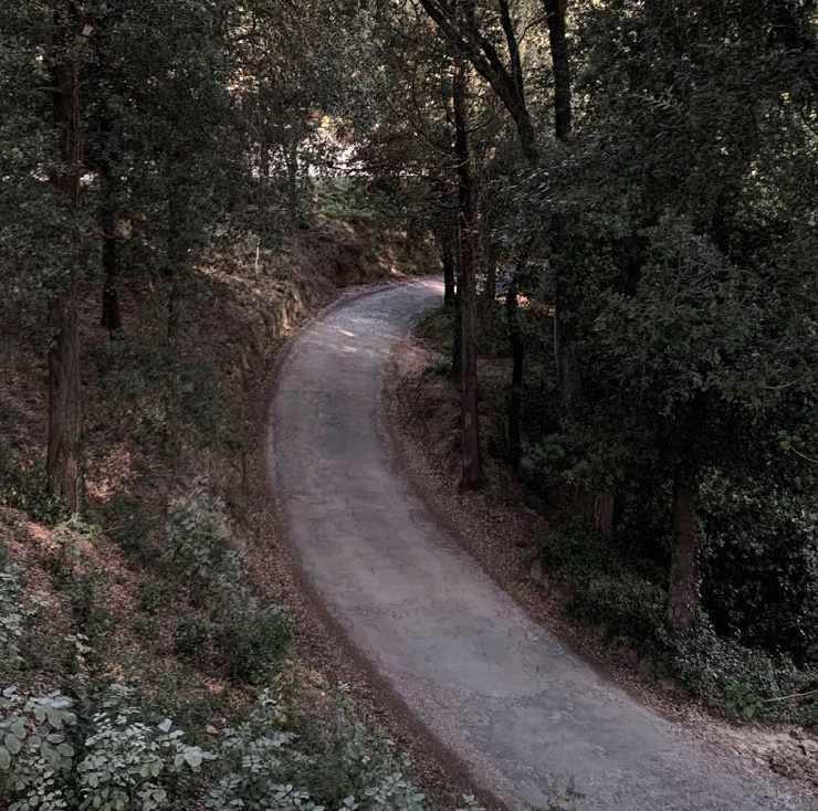 이탈리아 토스카나의 호텔 빌라레나 주변 산책로. ⓒ한태민