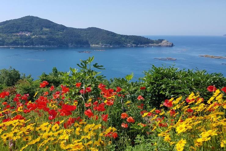 욕지도, 비렁길(출렁다리)