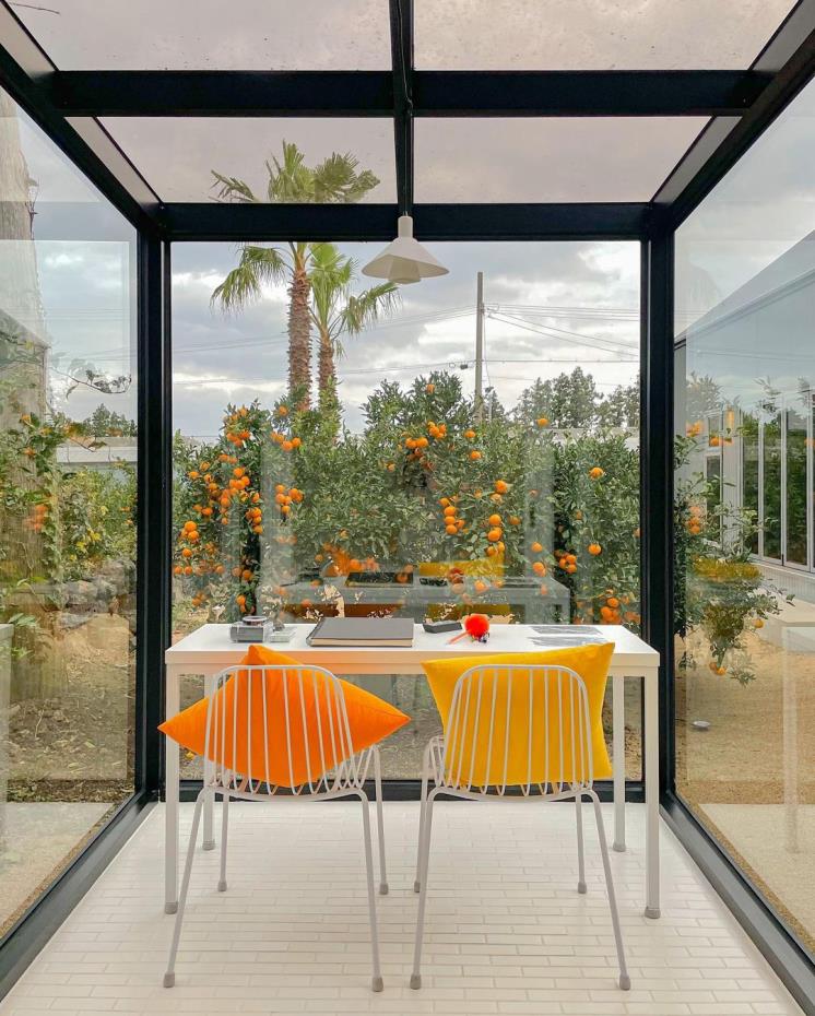 귤림동화 @_danie_e