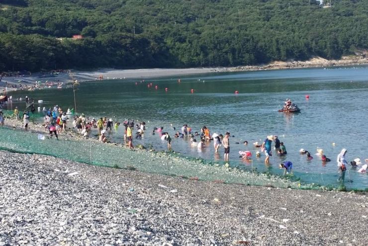 보길도, 전복 축제