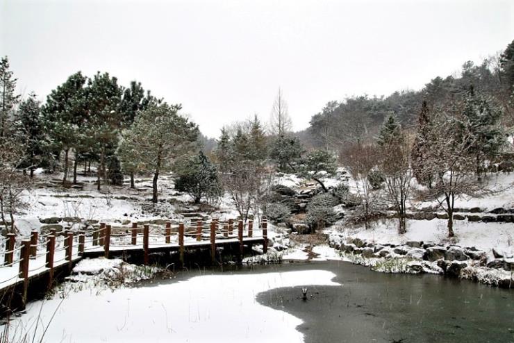 ⓒ황학산수목원 공식 홈페이지