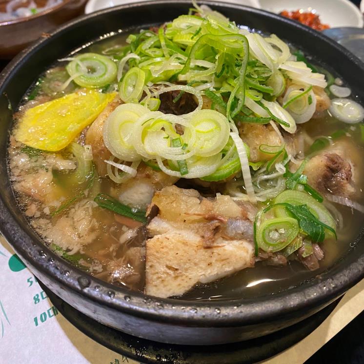 버드나무집