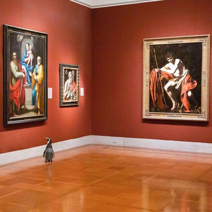 넬슨 앳킨스 미술관 펭귄