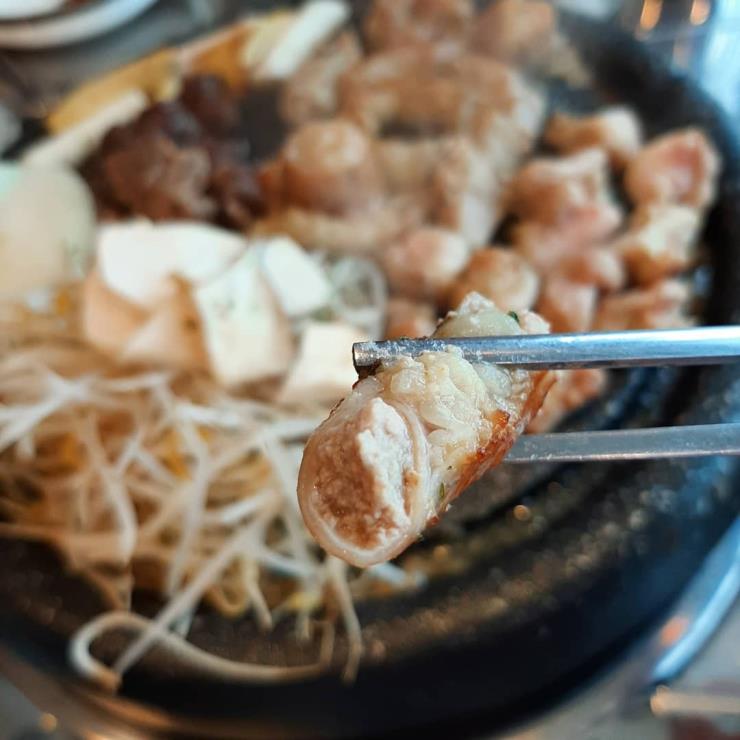 곱, 끌림 @beagle_mongsil