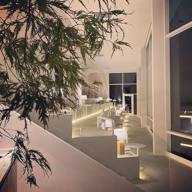 @swimmingturtle_in_ayajin