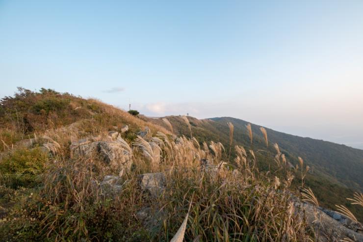 ⓒ홍성군 공식블로그