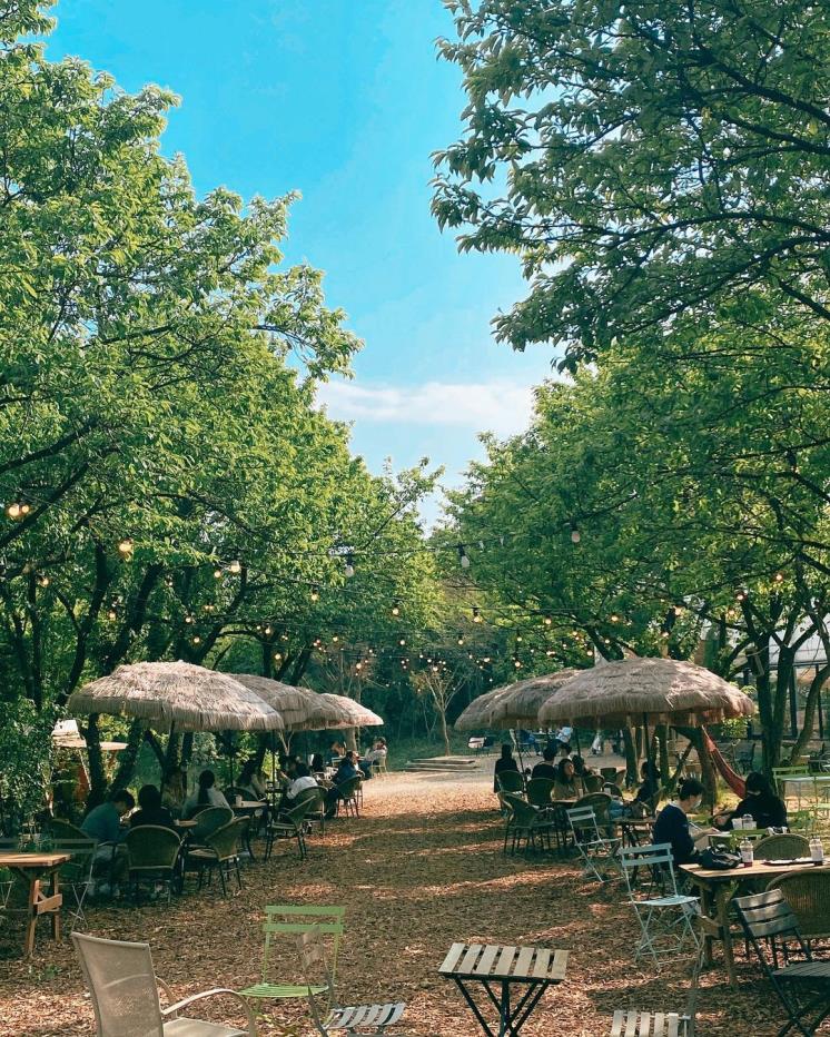 더포레 @i_am_seon.y