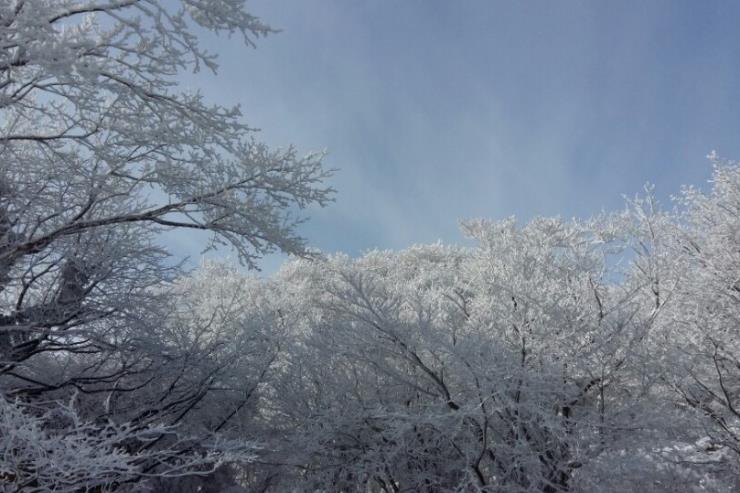 ⓒ비짓제주 제주도 공식 관광정보 포털사이트