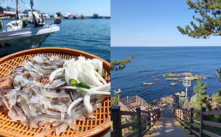 왼쪽 : 동명항 오징어난전 @soddomeog / 오른쪽 : 외옹치해수욕장 @prettywave2