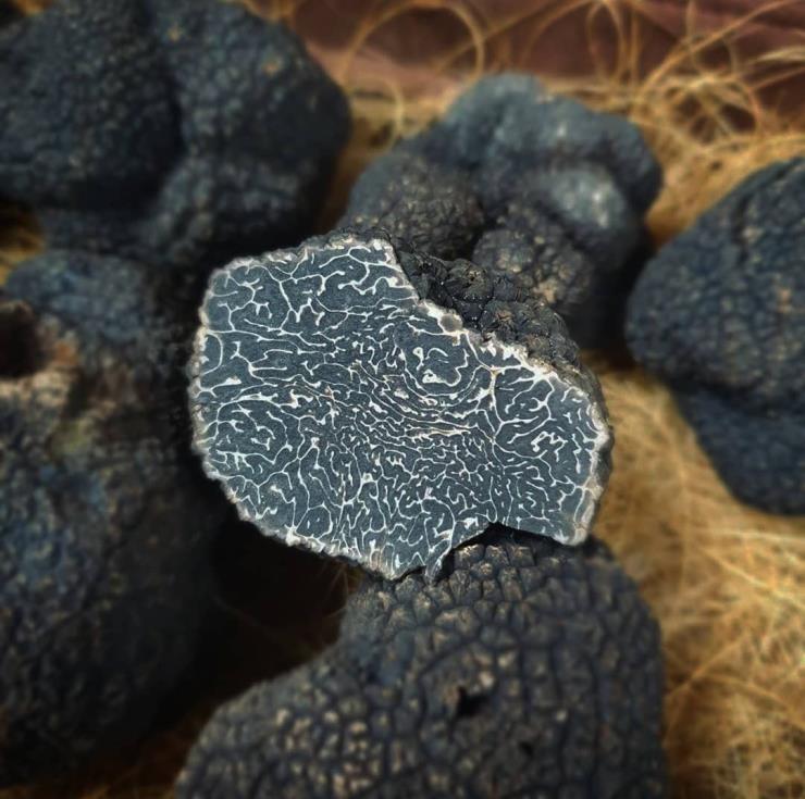 톡톡 @toctoc_seoul