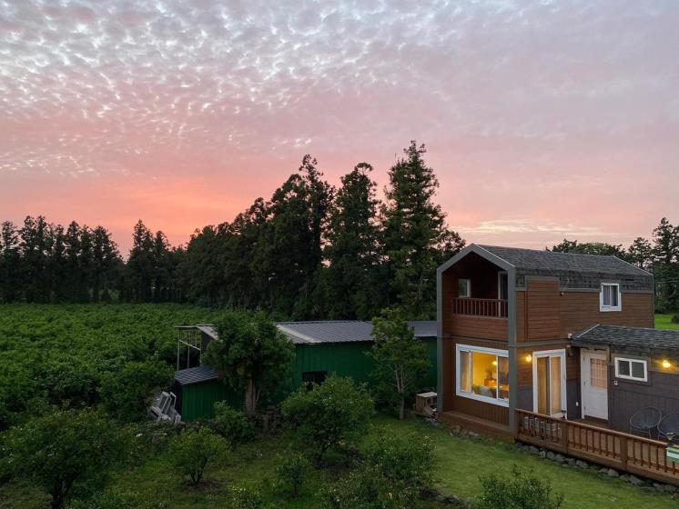 그리니제주 @greeny_jeju