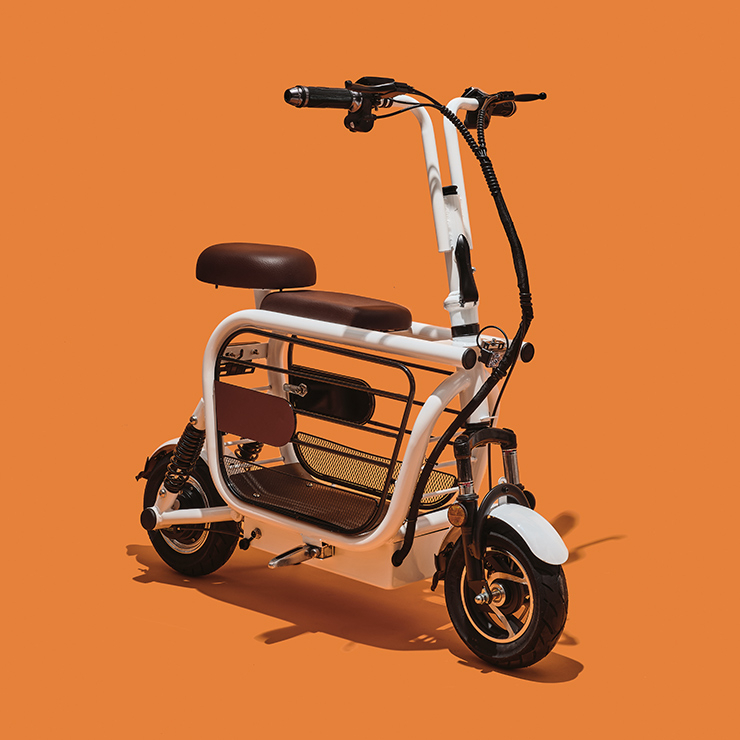 반려동물과 함께 타는 전동 모빌리티 이디뚜뚜 102만원 이디코리아.