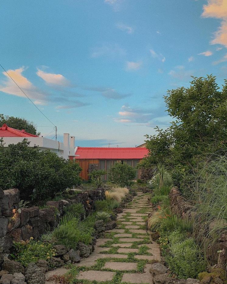 폴개우영 @polgaeoo