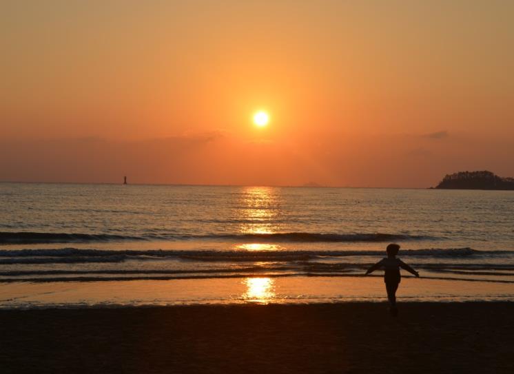 몽산포 오토캠핑장(@몽산포 오토캠핑장)