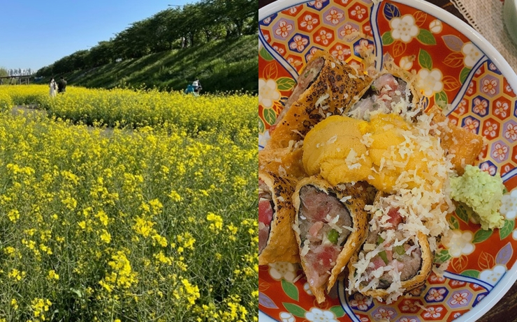 광명햇살광장(좌), 라꾸긴(우)
