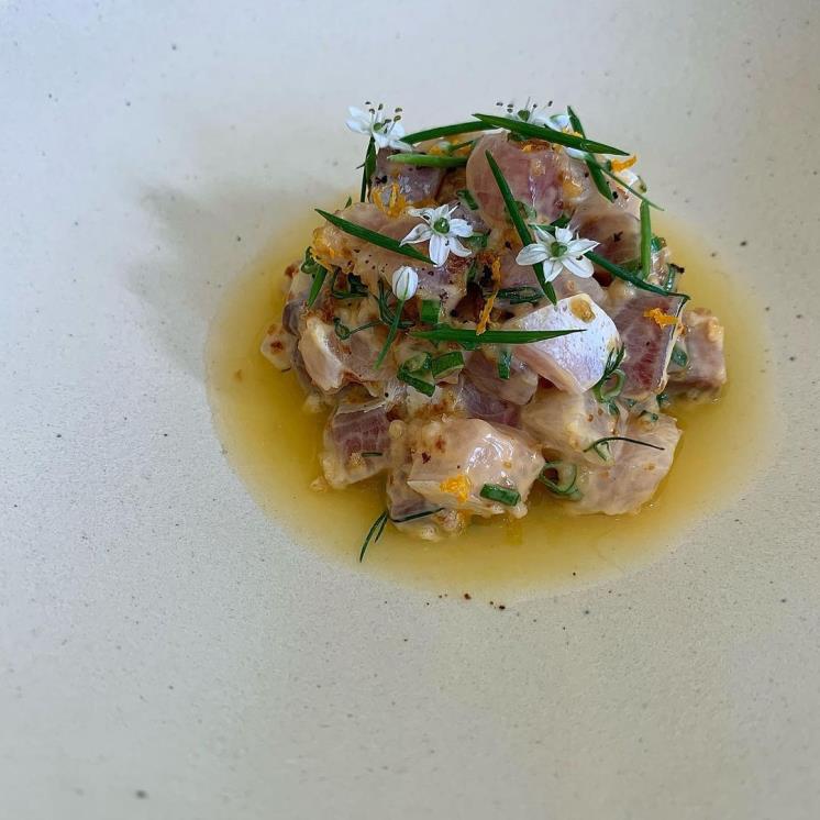 오디너리 플레져 @op.seoul