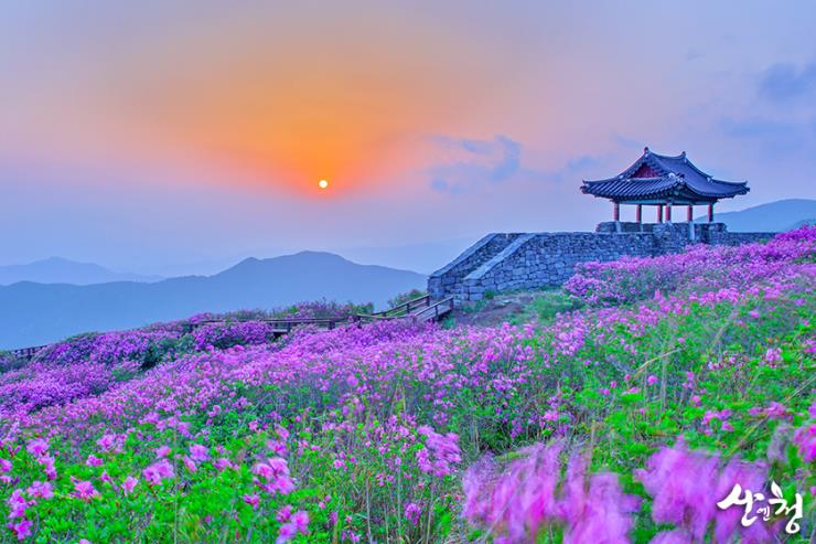 ⓒ산청군청 공식블로그