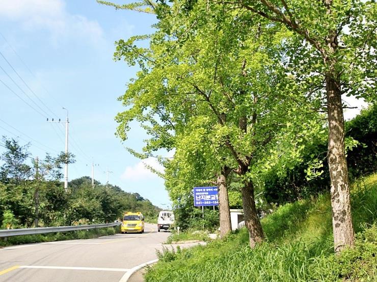 ⓒ당진군 공식 블로그