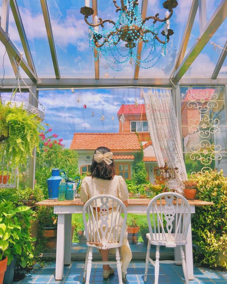 로즈스텔라정원 @a___raaaa