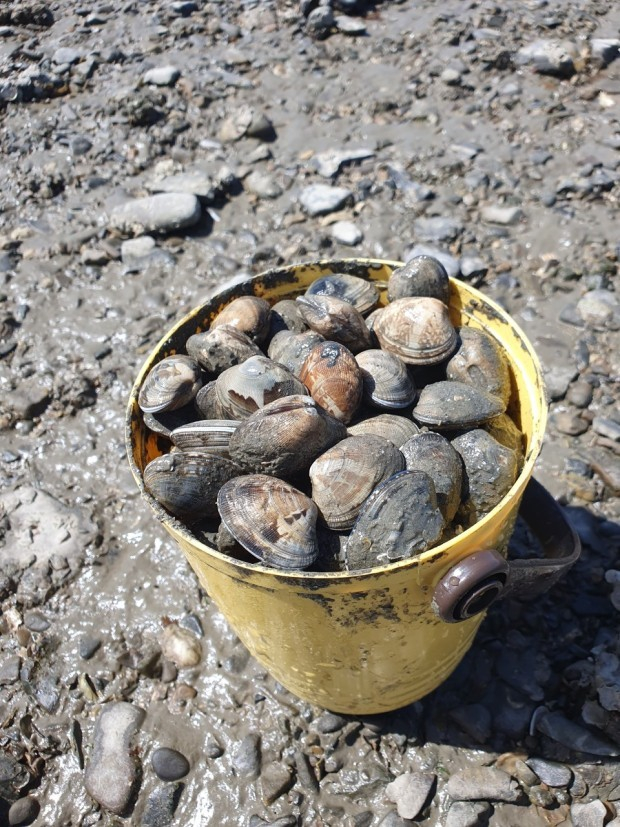 곰섬캠핑장(@태안 곰섬)