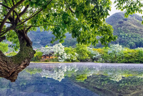사진출처 한국관광공사