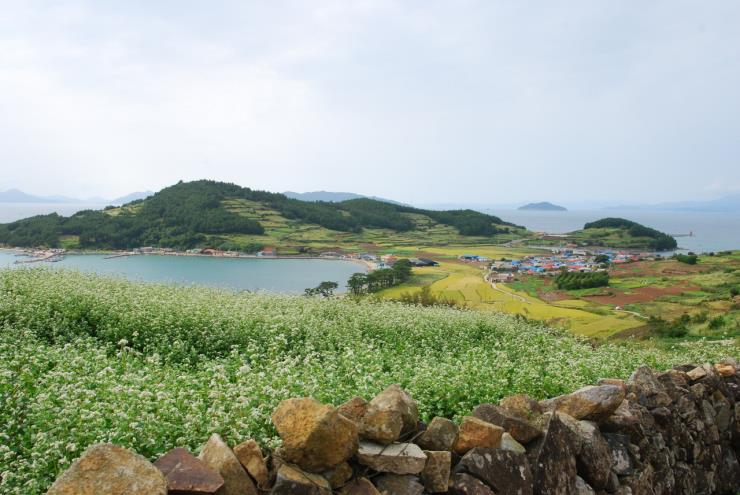 청산도 당리마을