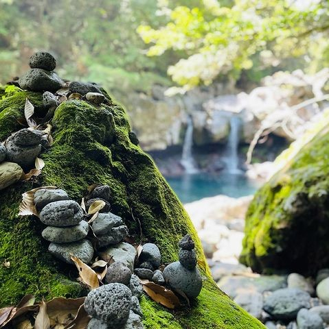@jeju_by.shin