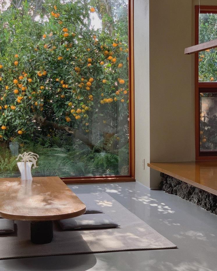 폴개우영 @polgaeoo