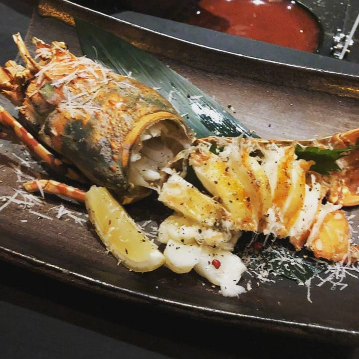 로바타 라이브라 @robatalibra