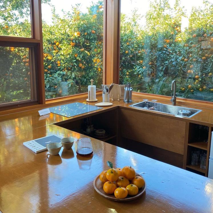 폴개우영 @luvbonbon_