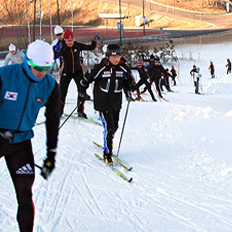 알펜시아 리조트