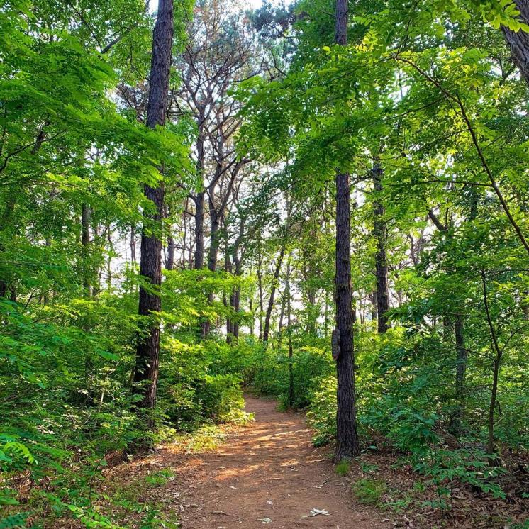 금광호수 @manymi_