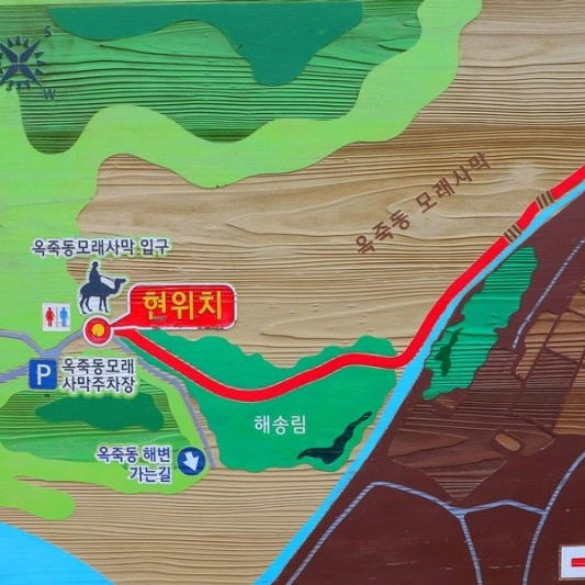 옥죽동모래사막