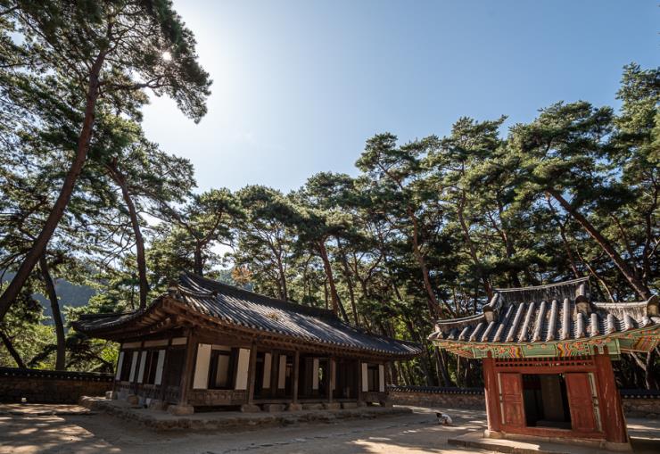 영월 청령포