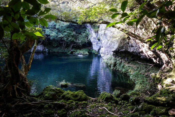 사진출처 한국관광공사