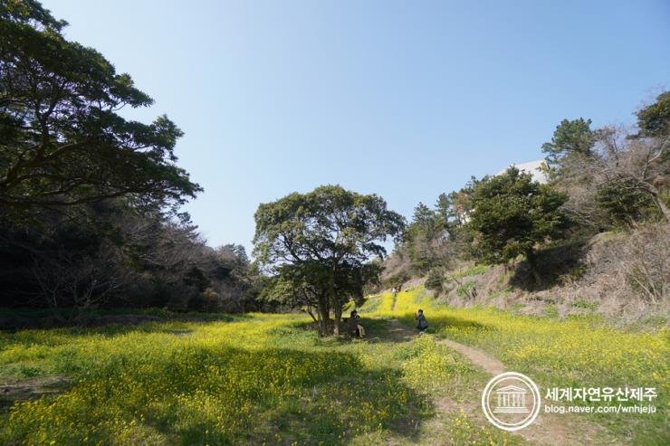 ⓒ세계자연유산제주 공식블로그