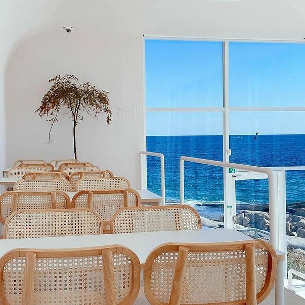 @swimmingturtle_in_ayajin