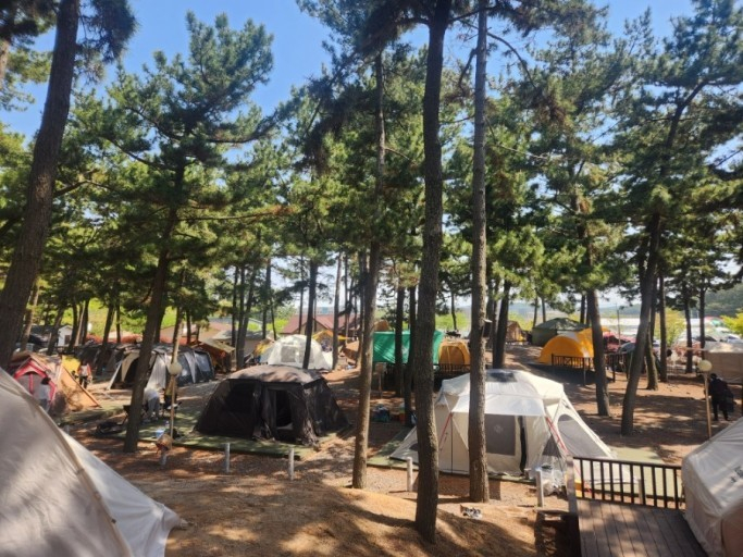 곰섬캠핑장(@태안 곰섬)